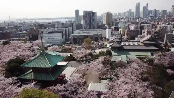 Kodozan Honbutsuden