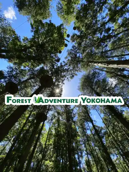 Forest Adventure Yokohama