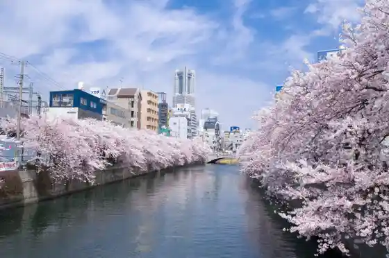 Ooka River Cruise