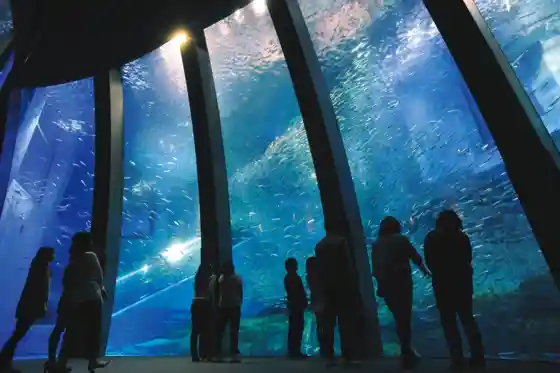 Yokohama Hakkeijima Sea Paradise