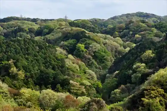 Segami Citizens' Forest and Daimaru Plaza
