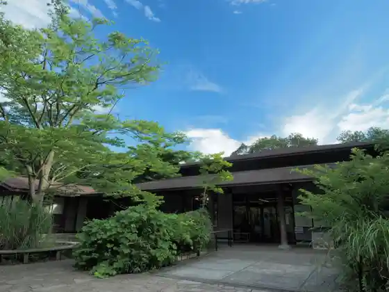 Yokohama Nature Observation Forest