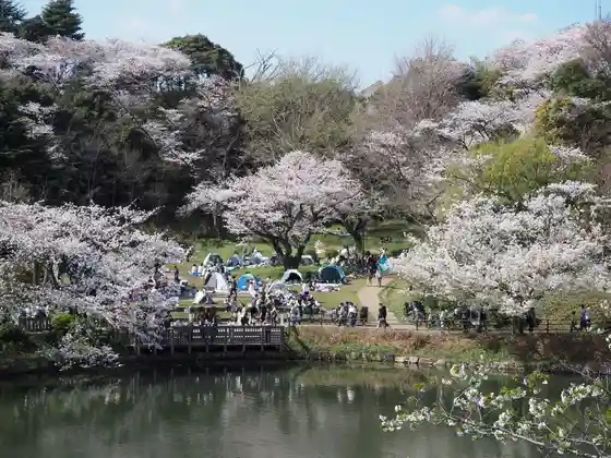 Kanagawa Prefectural Mitsuike Park