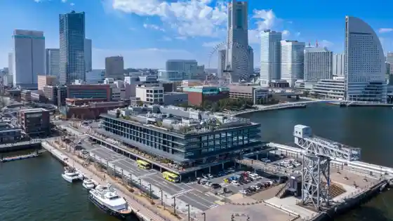 Yokohama Hammerhead
