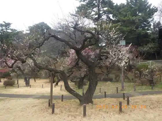 Okurayama Park
