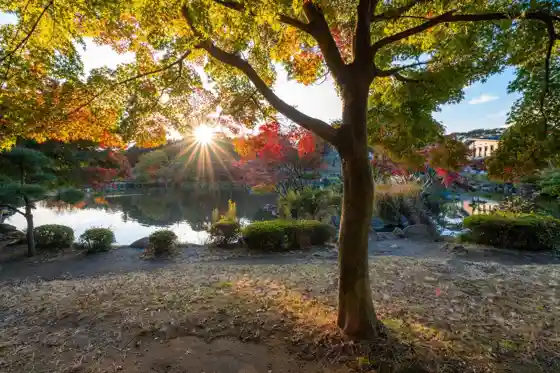 Children's Nature Park (Oike Park, Cherry Blossom Town)