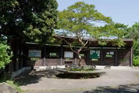 Wild Bird Observation Garden