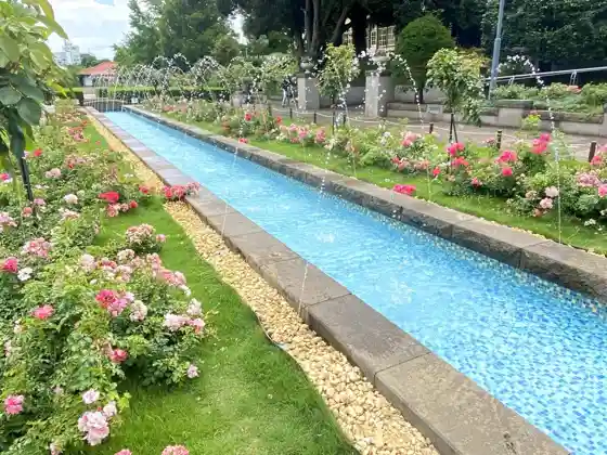 Roses of the Yamate Italian Hill Garden