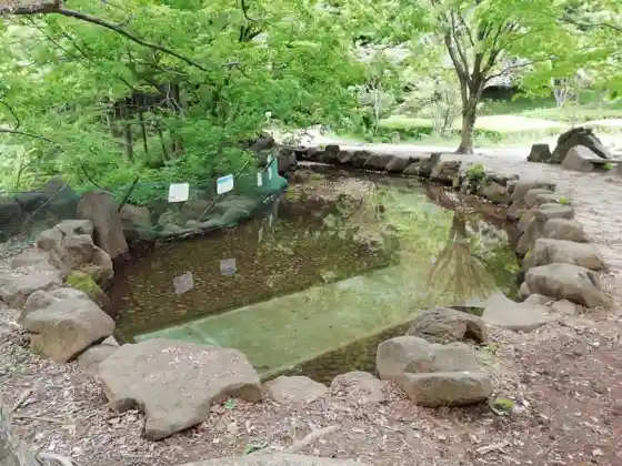 Kanagawa Prefectural Shiki-no-Mori Park Wading Pool