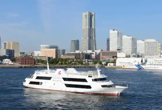 Y Cruise Marine Rouge