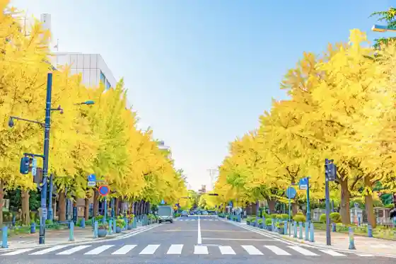 Nihon-odori