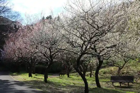 Kanazawa Nature Park