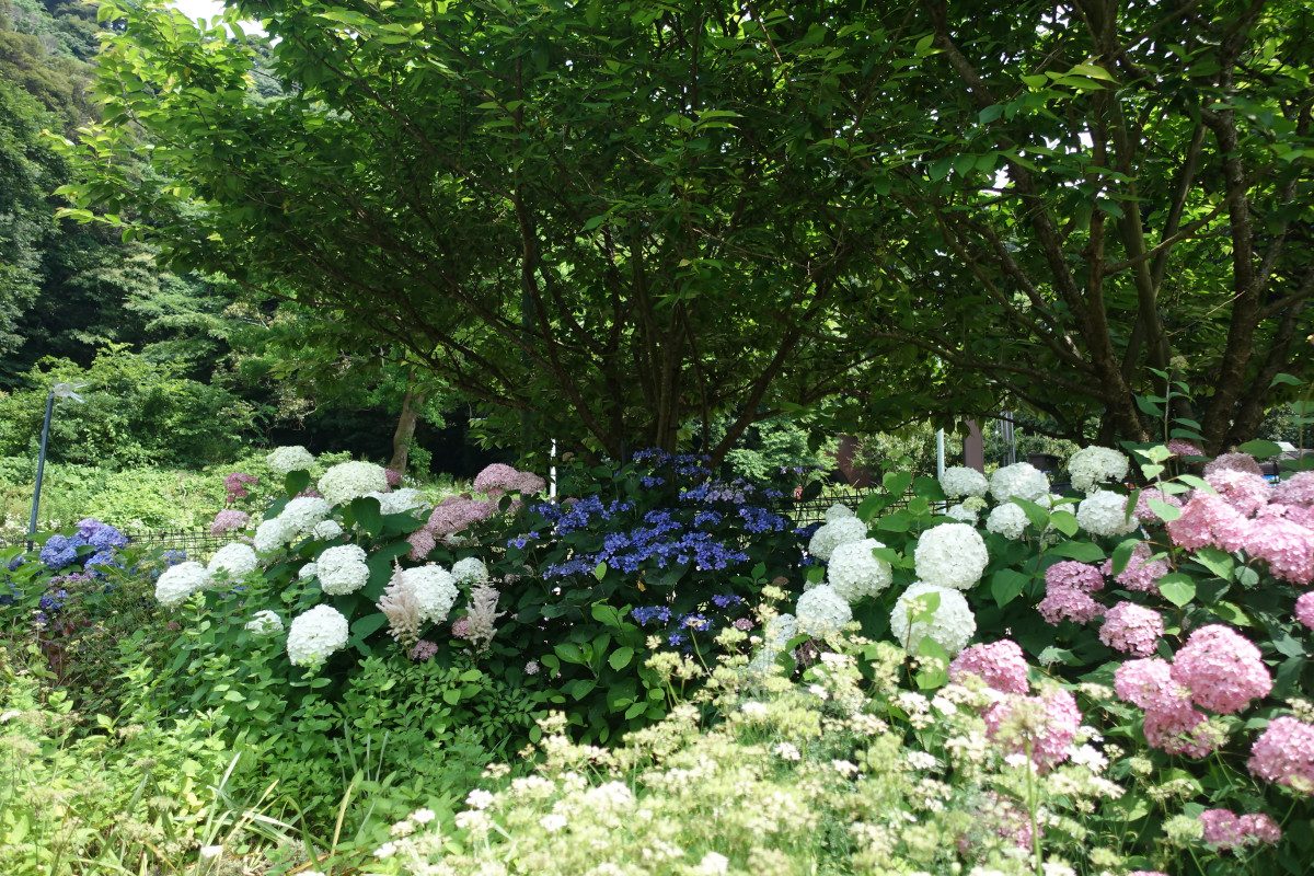 Kanagawa Prefectural Kannonzaki Park