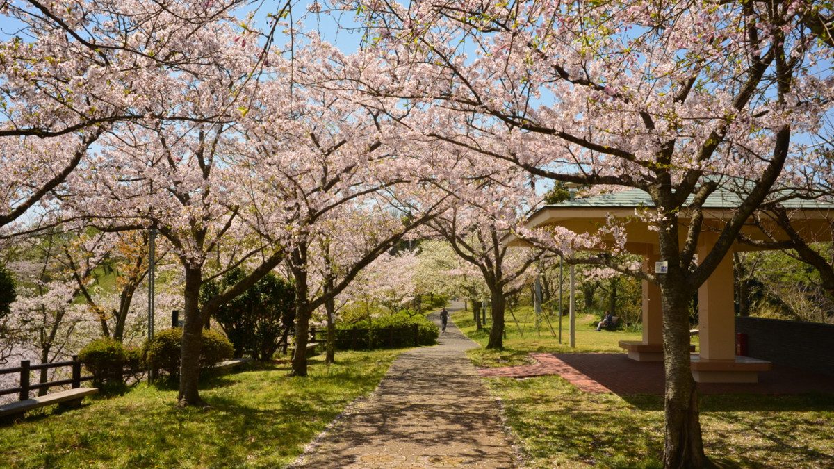 Tsukayama Park