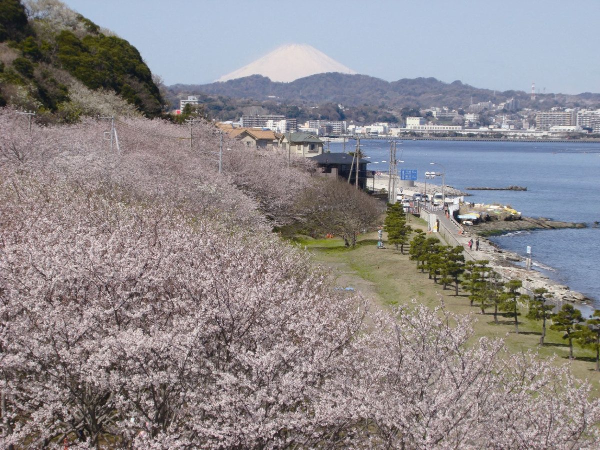 Hashirimizu Water Source Park