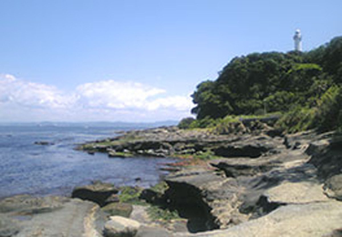 Coast Enchi