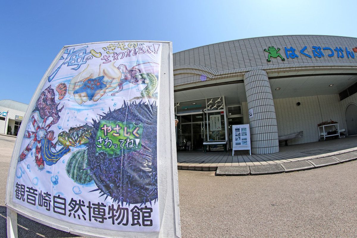 Kannonzaki Nature Museum