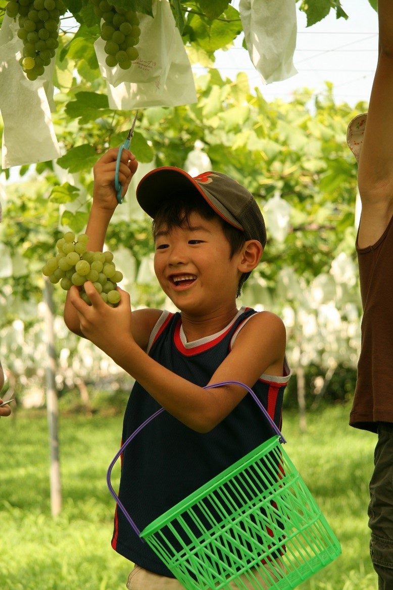 Komatsuzawa Leisure Farm