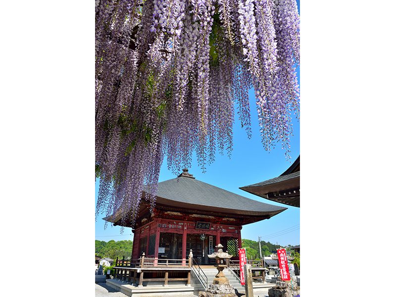 Gokado Hall