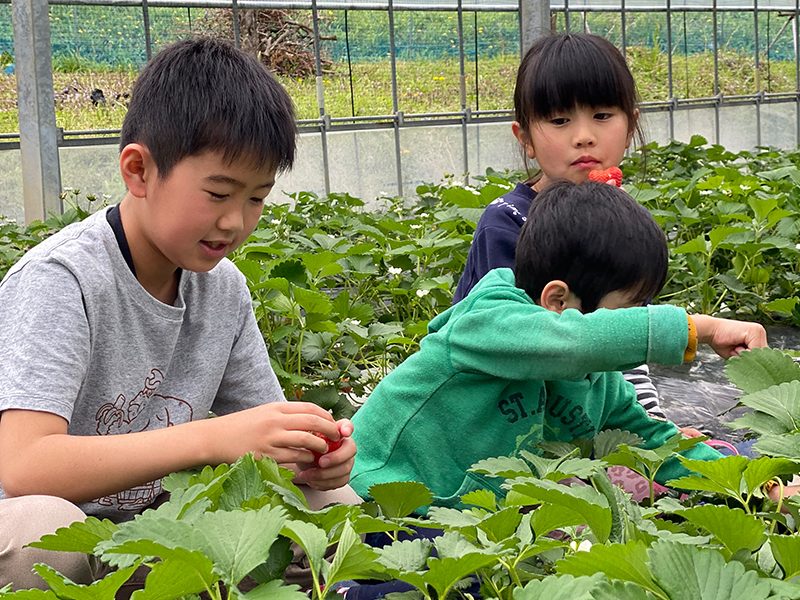 Marutomi Farm