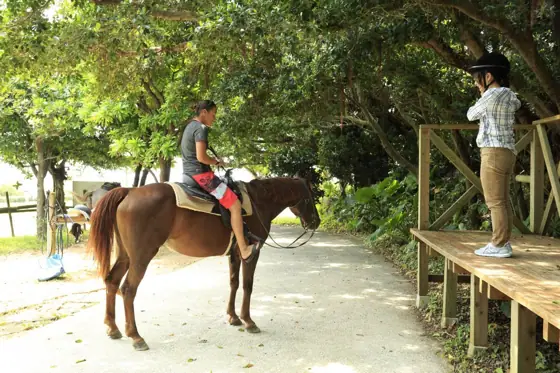 Okinawa Horse Riding Club