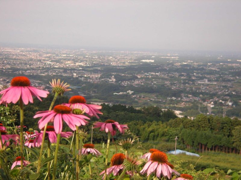 Nakamaidaira Green Park