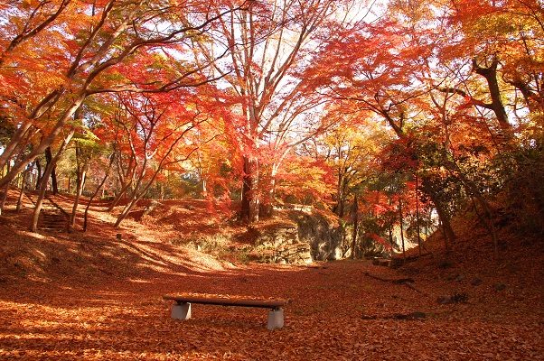 Jakugu Park