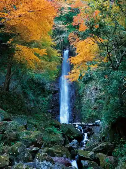 Autumn Leaves at Yoro Park