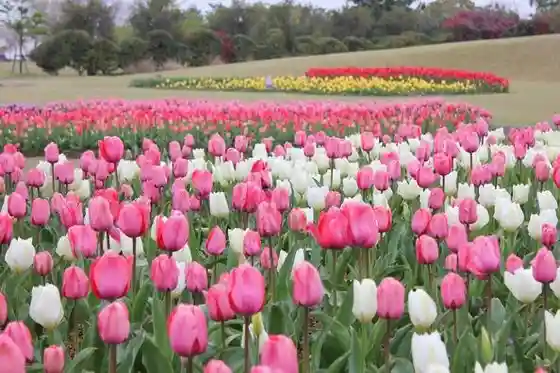 Yoshidacho Prefectural Park