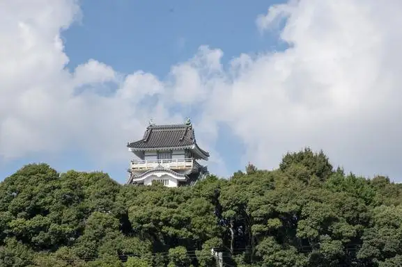 Lookout Oyama Shiro