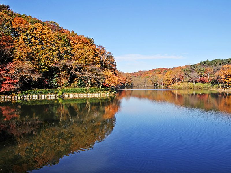 Hatcho Lake