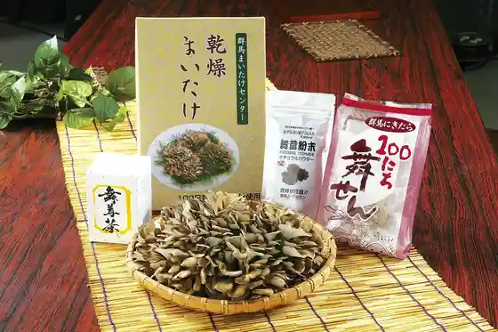 Gunma Maitake Center