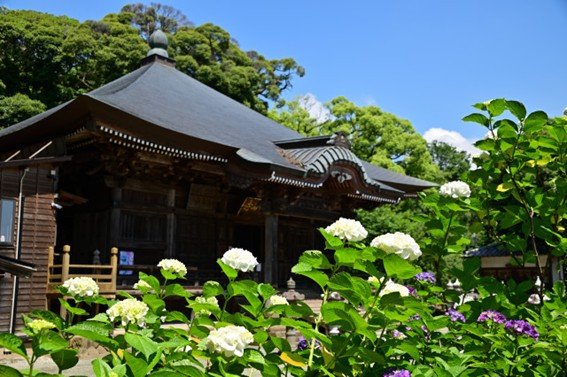 Mount Taikan