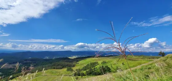 Sawahara Plateau