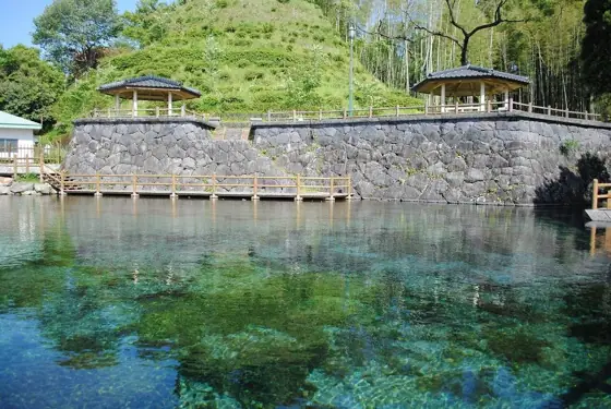 Maruike Spring Fireflies