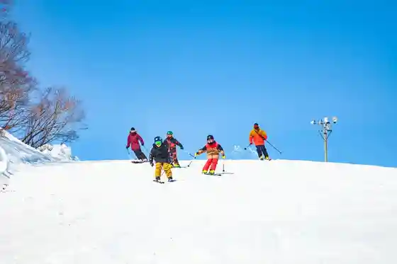 Yuzawa Nakazato Su no Resort