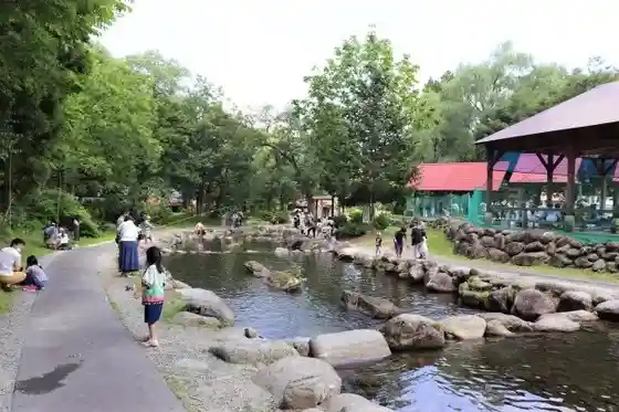 Yuzawa Fisshingu Park