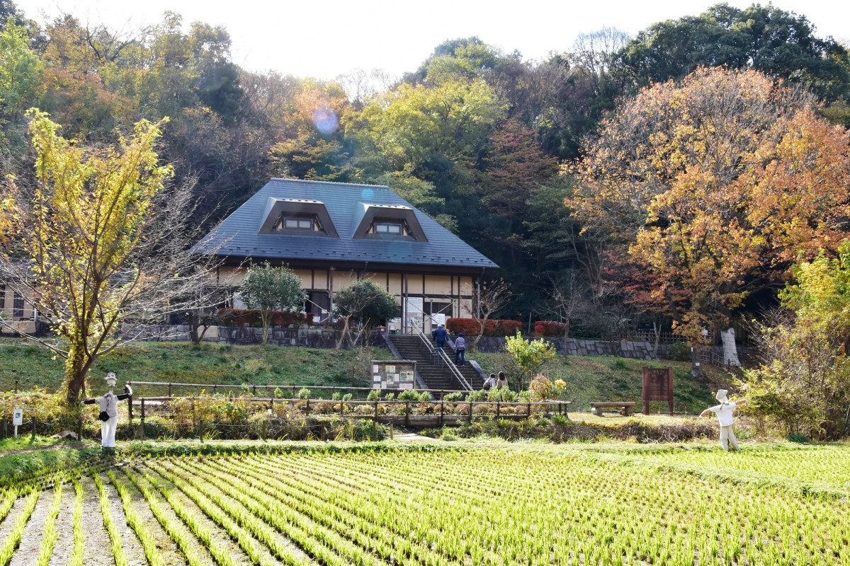 Prefectural Zama Yatoyama Park