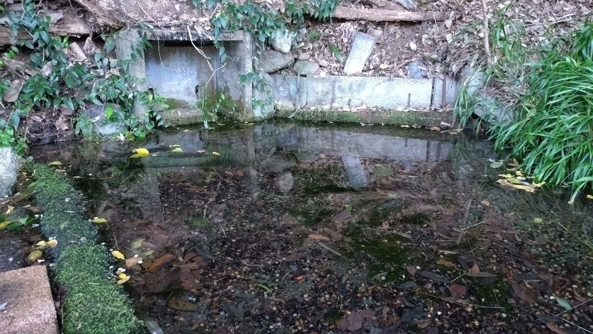 Kameido Spring