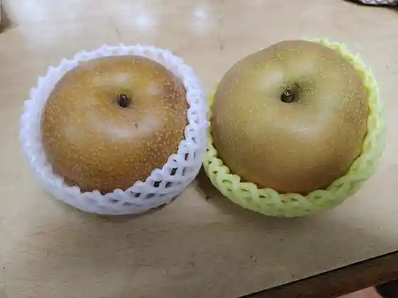 産直市場みんな野