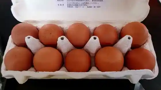 白鳥ファーム