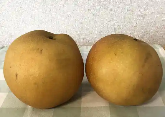 室野井果実園