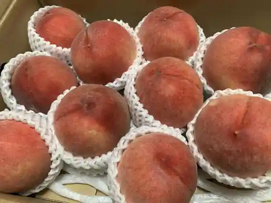 佐藤果樹園