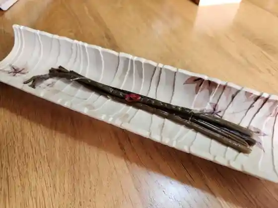 蔵王 山荷葉