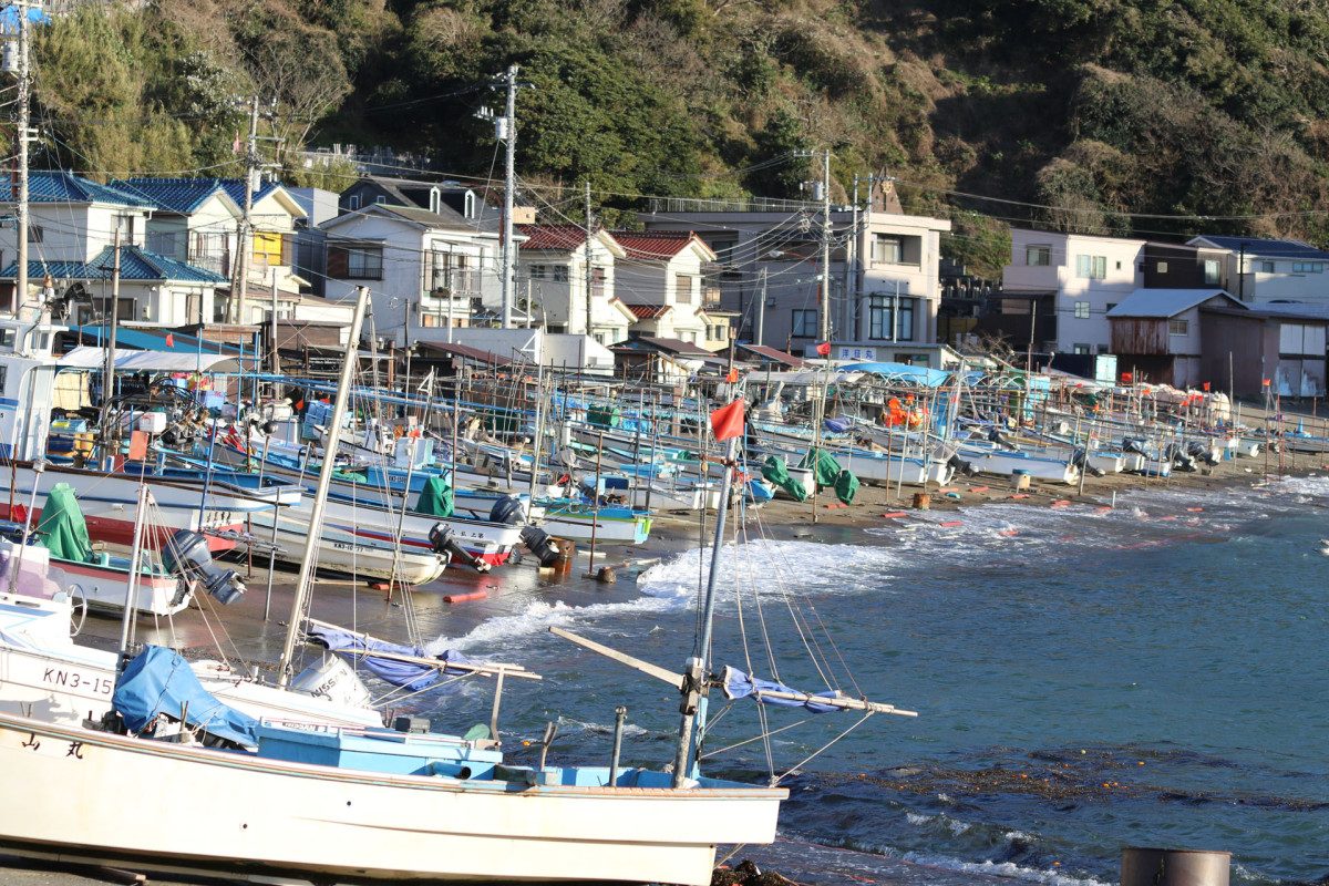 Kotsubo Fishing Port and Fisherman Taxi